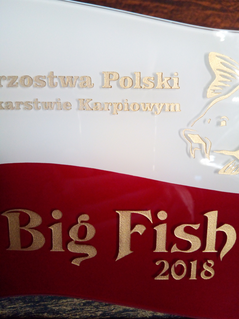 sport, puchary, trofea, nagrody, wyróżniania