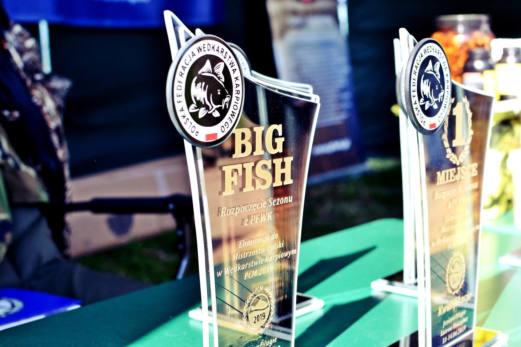 sport, puchary, trofea, nagrody, wyróżniania