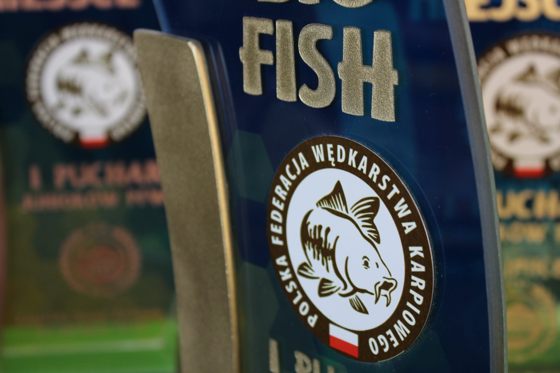 sport, puchary, trofea, nagrody, wyróżniania