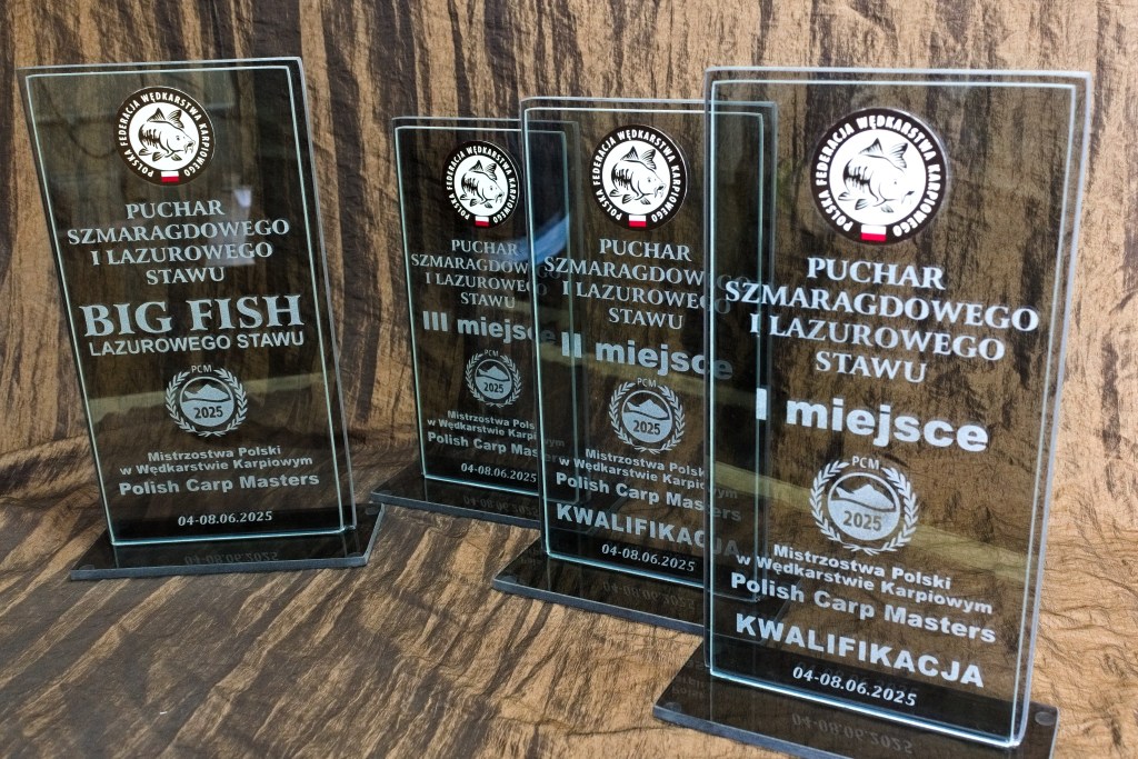 sport, puchary, trofea, nagrody, wyróżniania