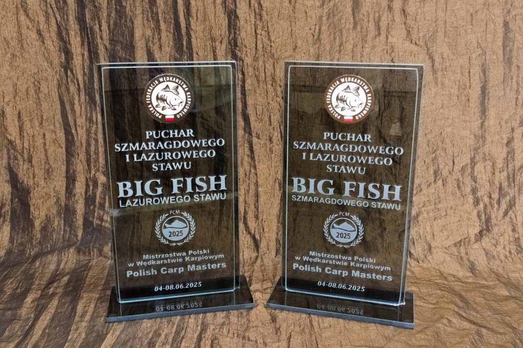 sport, puchary, trofea, nagrody, wyróżniania