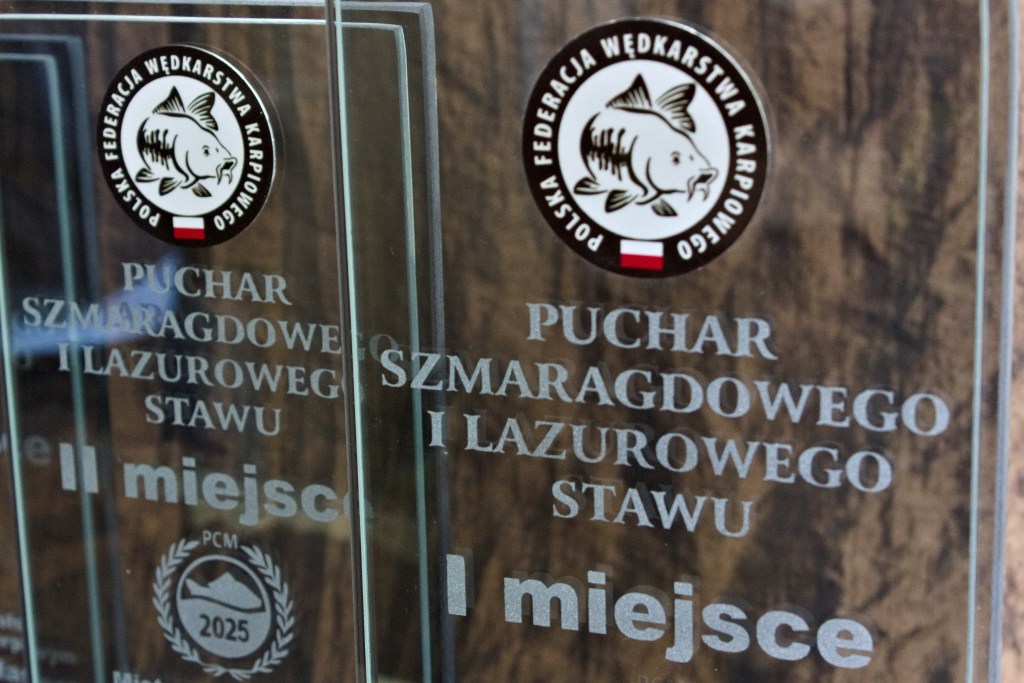 sport, puchary, trofea, nagrody, wyróżniania