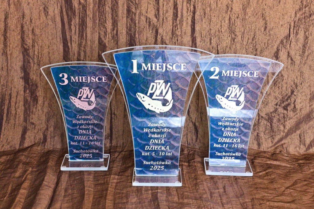 sport, puchary, trofea, nagrody, wyróżniania