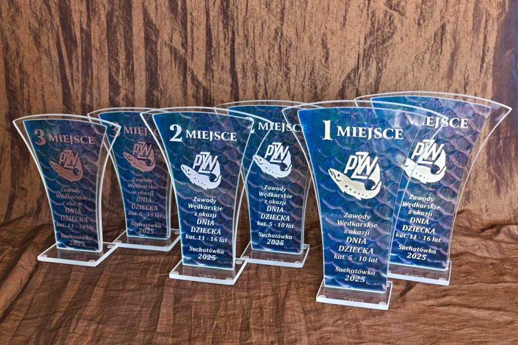 sport, puchary, trofea, nagrody, wyróżniania