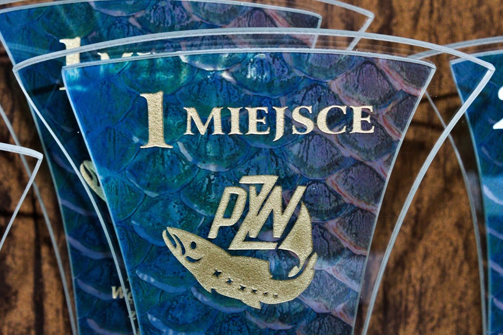 sport, puchary, trofea, nagrody, wyróżniania